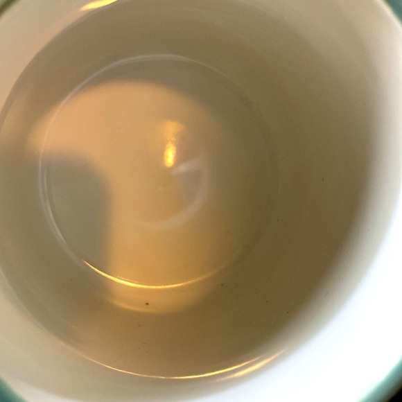 Thyme &Table Stoneware Chevron White & Green Geometric Design Slate Mint Green - Picture 5 of 7